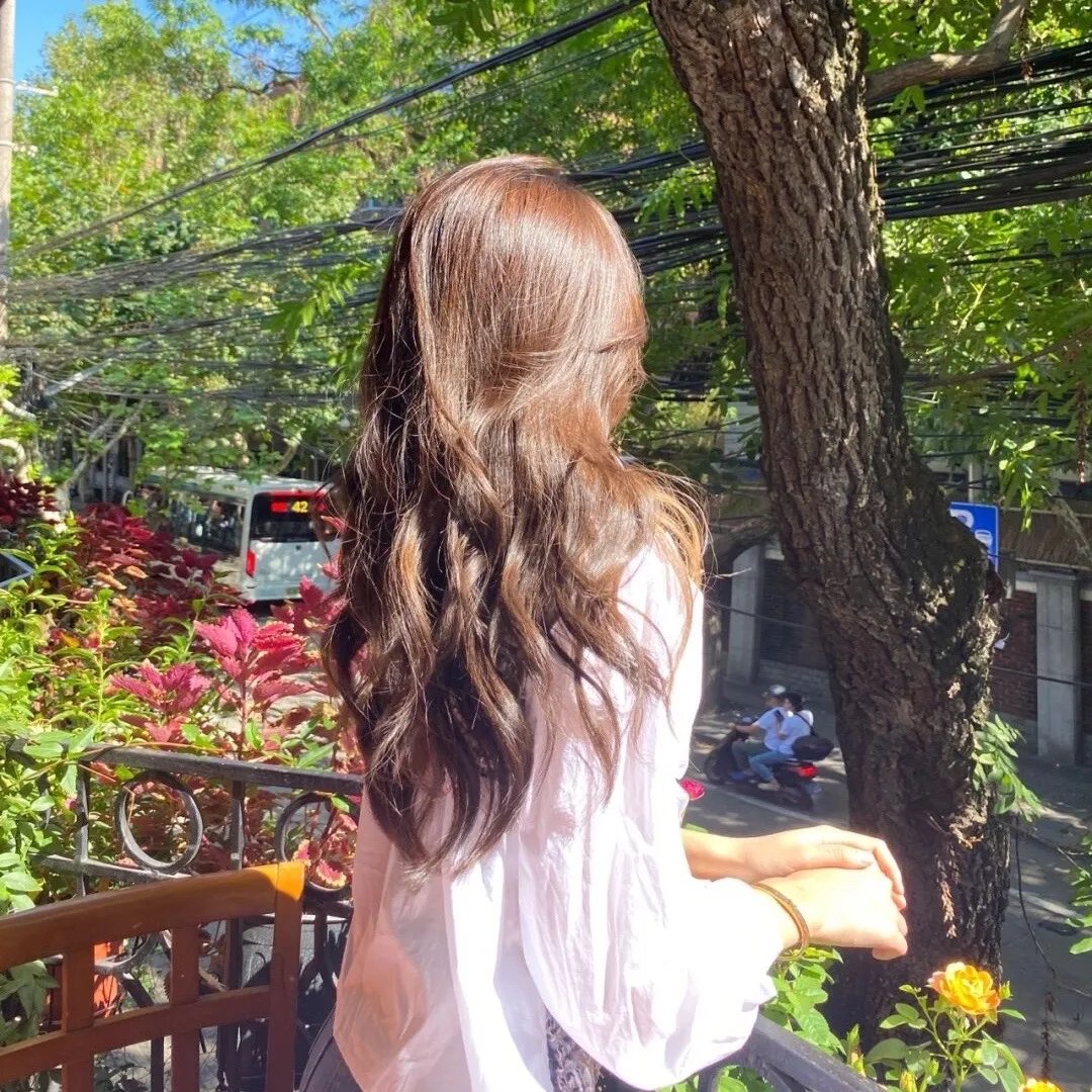 泡芙小姐第四季